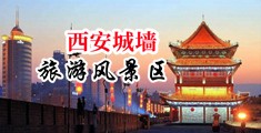看几部淫荡的老妇人特别喜欢淫荡日逼的黄色三级激情的录像带中国陕西-西安城墙旅游风景区
