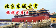 大骚浪屄性爱视频中国北京-东城古宫旅游风景区